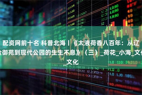 配资网前十名 科普北海丨《太液荷香八百年：从辽金御苑到现代公园的生生不息》（三）_荷花_小海_文化